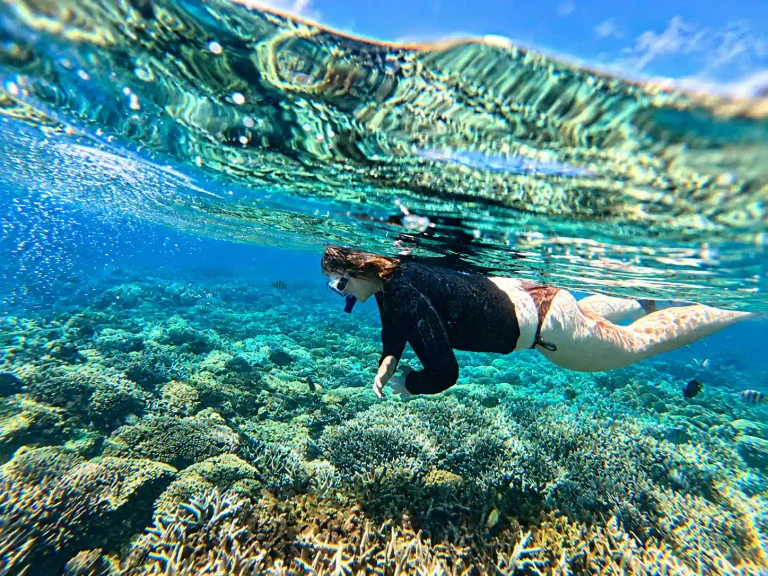 Snorkeler exploring clear tropical water around the Gili Islands