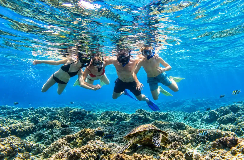 Guests snorkeling in clear water around Gili Trawangan